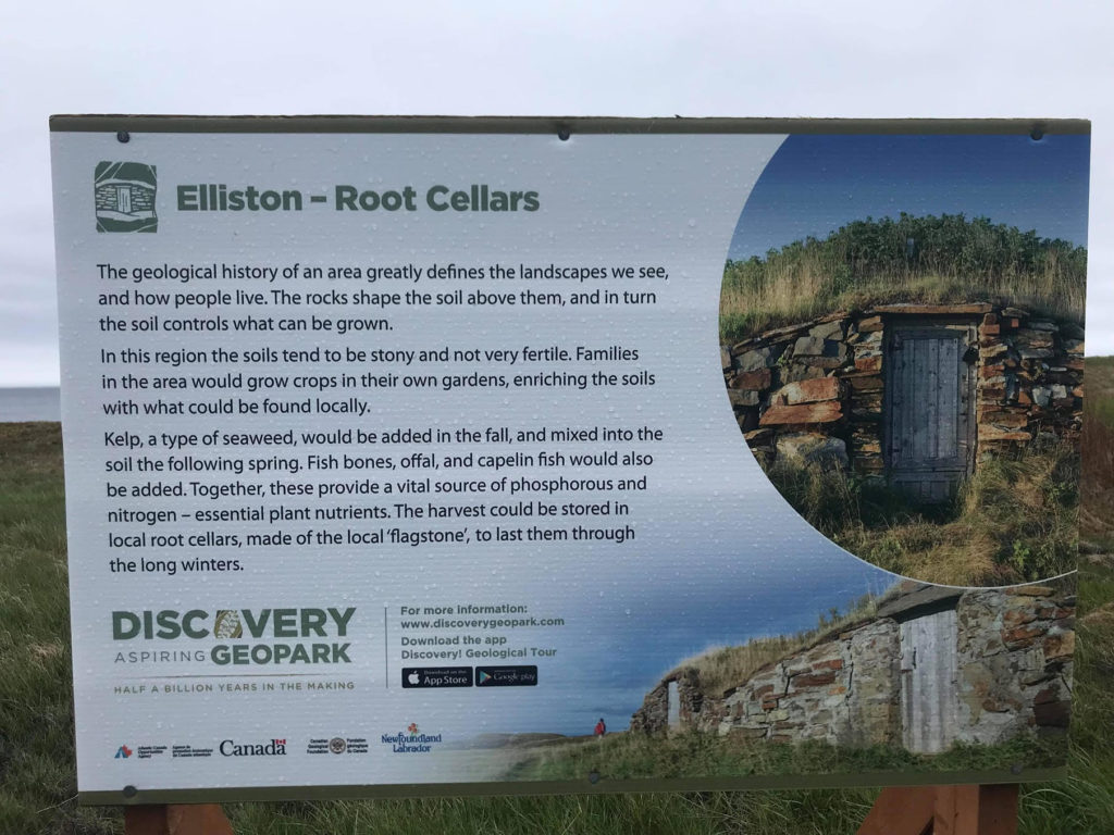 A tourism storyboard explains some of the history of the root cellars in Elliston, NL. 
